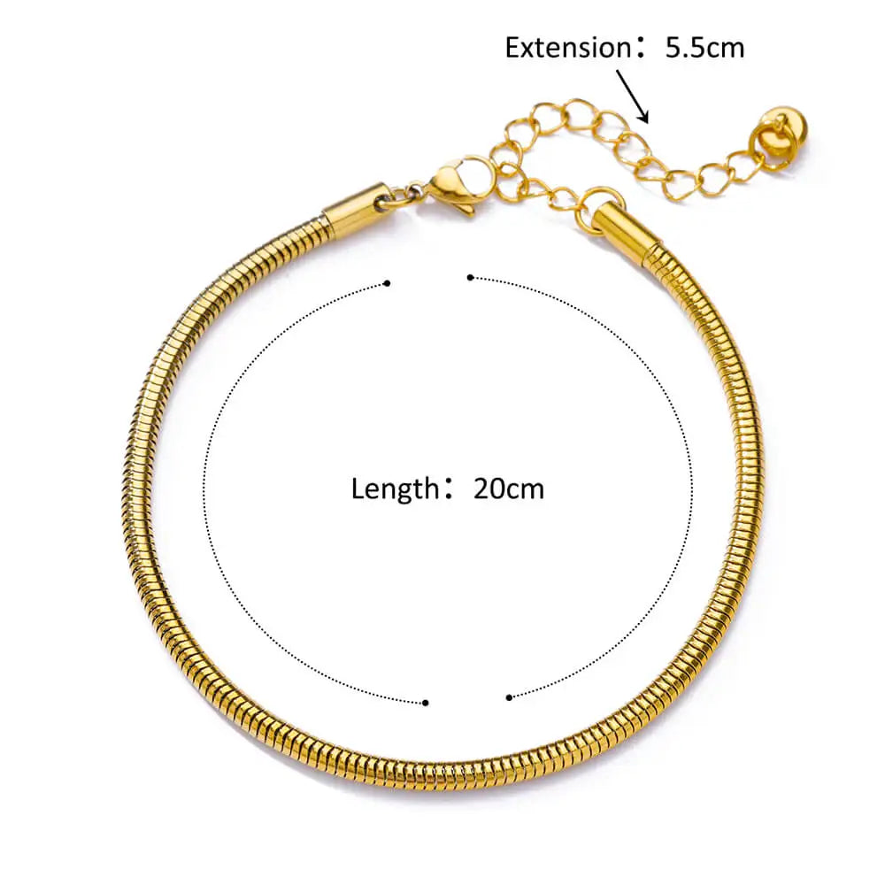Stainless Steel Anklets for Women Waterproof Gold Color Anklet Luxury Designer Jewelry Summer Accessories mujer freeshiping item